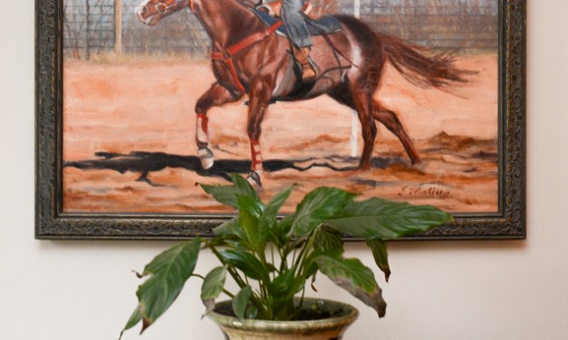 And she’s off! Local artist Sharon Matisoff looking to break into world of equine art