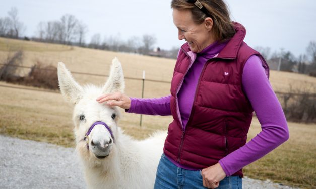 Good Acres Sanctuary ‘a little slice of heaven’