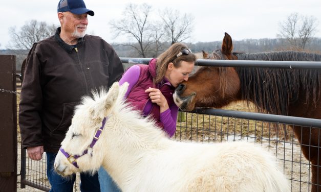 Good Acres Sanctuary ‘a little slice of heaven’