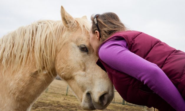 Good Acres Sanctuary ‘a little slice of heaven’