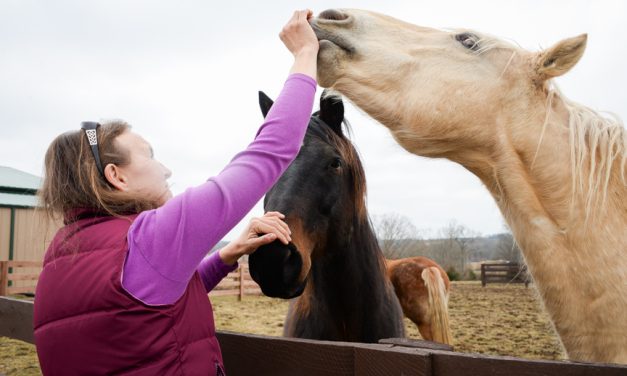 Good Acres Sanctuary ‘a little slice of heaven’