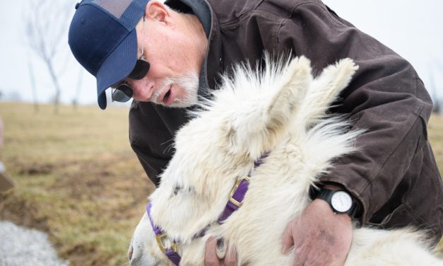 Good Acres Sanctuary ‘a little slice of heaven’