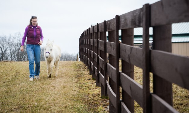 Good Acres Sanctuary ‘a little slice of heaven’