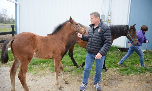A lesson in training: ‘Take care of the horse and the horse will take care of you’