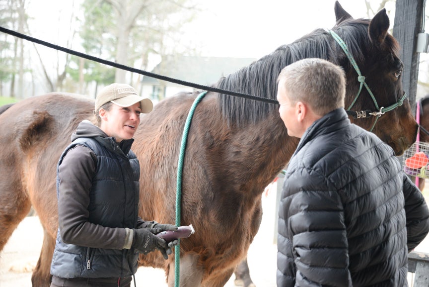 A lesson in training: ‘Take care of the horse and the horse will take care of you’