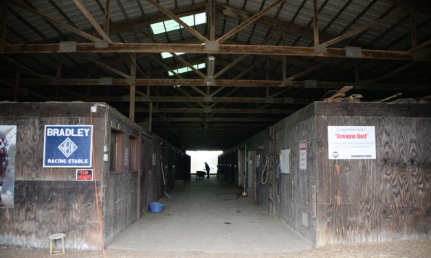 A lesson in training: ‘Take care of the horse and the horse will take care of you’