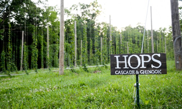 West Sixth Brewing grows to open Frankfort farm
