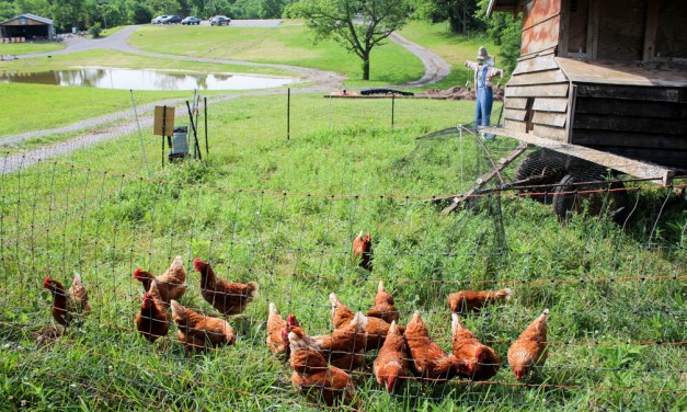 West Sixth Brewing grows to open Frankfort farm
