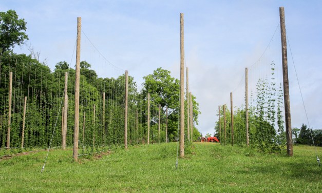 West Sixth Brewing grows to open Frankfort farm