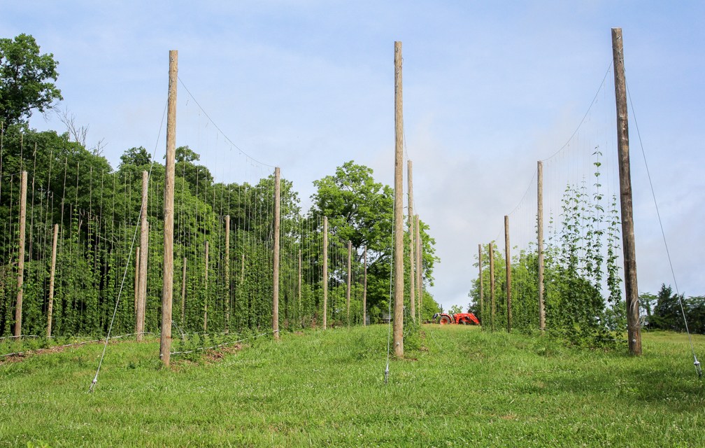 West Sixth Brewing grows to open Frankfort farm