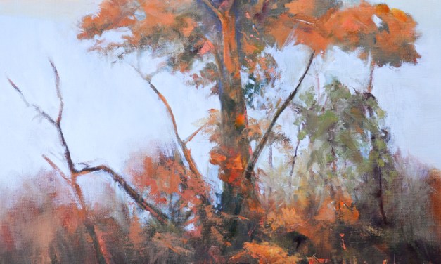 Capturing the beauty of the great outdoors