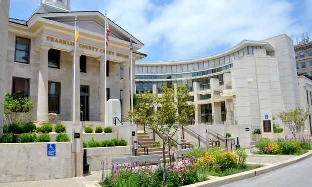 Rain gardens provide colorful, efficient storm water filter