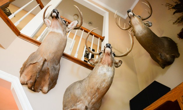 Country haven: Brad and Laurie Meyer build ‘forever’ home on Hanly Lane