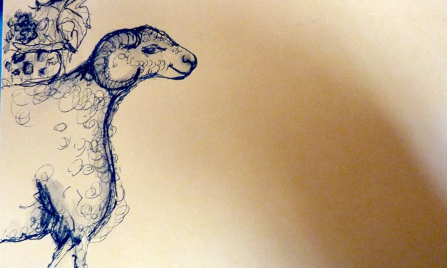 Mail art: Longtime friends Ellen Glasgow and Sandra MacDiarmid exchange handwritten letters with intricate drawings on the envelopes for more than 60 years
