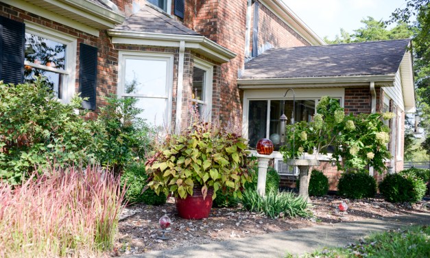 Country escape: Martins enjoy R&R on ‘Robin’s Nest Lane’