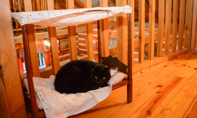Quiet, country living: Deatons build log cabin home on Pea Ridge Road