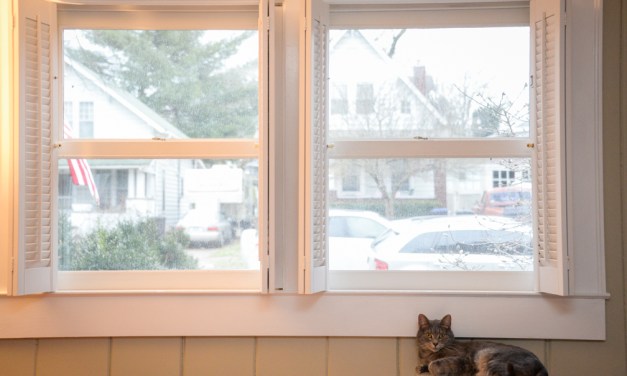 Chicago transplants fall in love with Frankfort
