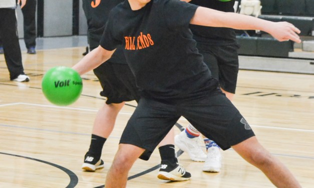 Snapped — WeWannaPlay Dodgeball Tournament, March 3, 2019