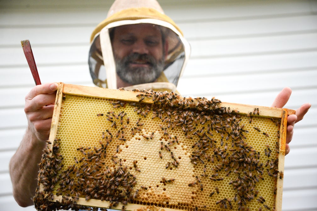 Area beekeepers wax nostalgic on bees, beekeeping, honey and the honeycombs that house them