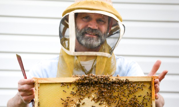 Area beekeepers wax nostalgic on bees, beekeeping, honey and the honeycombs that house them