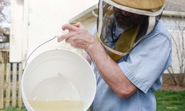 Area beekeepers wax nostalgic on bees, beekeeping, honey and the honeycombs that house them