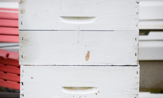 Area beekeepers wax nostalgic on bees, beekeeping, honey and the honeycombs that house them