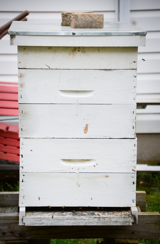 Area beekeepers wax nostalgic on bees, beekeeping, honey and the honeycombs that house them