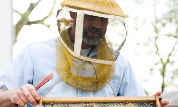 Area beekeepers wax nostalgic on bees, beekeeping, honey and the honeycombs that house them