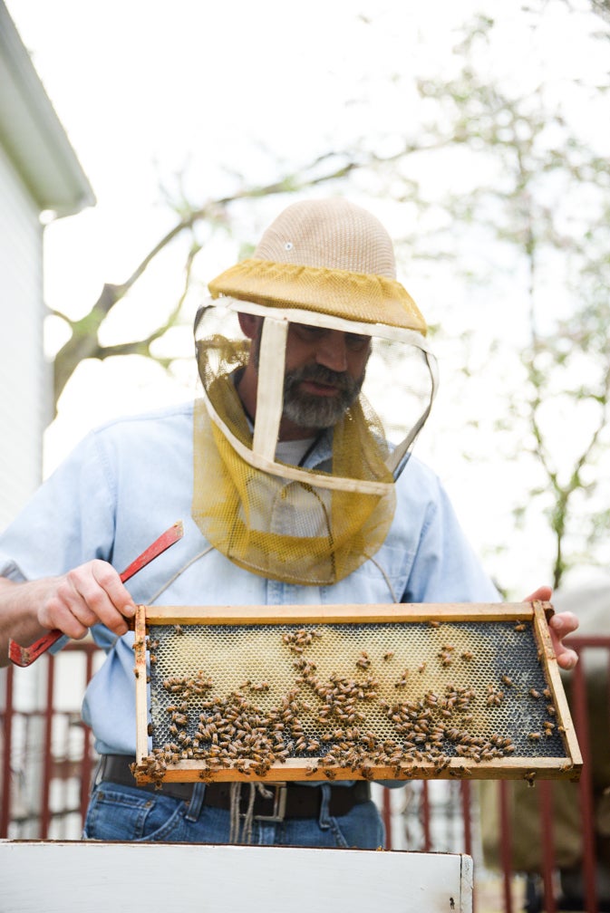 Area beekeepers wax nostalgic on bees, beekeeping, honey and the honeycombs that house them