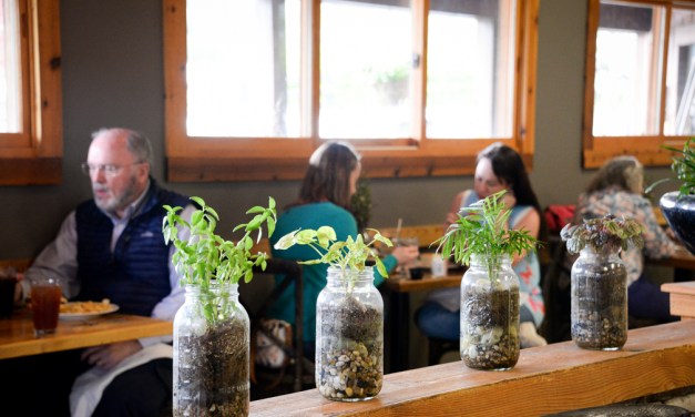 Sage Garden Cafe offering garden to table experience