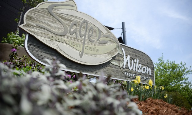 Sage Garden Cafe offering garden to table experience