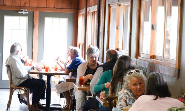 Sage Garden Cafe offering garden to table experience