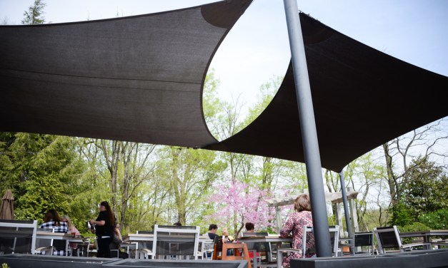 Sage Garden Cafe offering garden to table experience