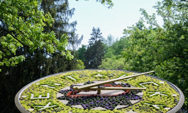 Ticking through time: Capitol floral clock one of few in the world