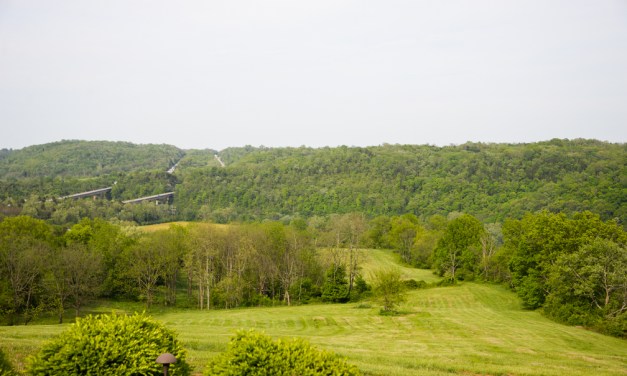 Patricks enjoy country living with a view