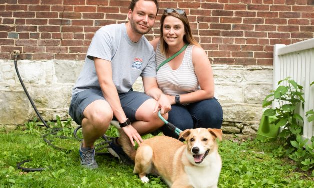 Snapped: Liberty Hall hosts Barks and Brews, June 6, 2019