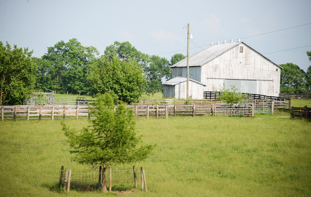 Life on Woodlake Farm: Hockensmith family continuing to work the land