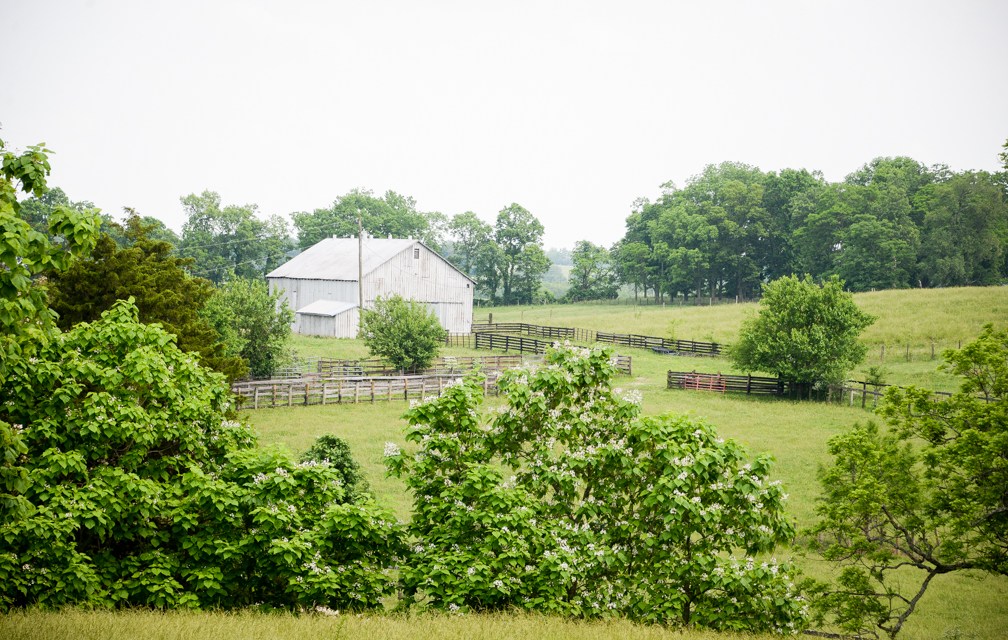 Life on Woodlake Farm: Hockensmith family continuing to work the land