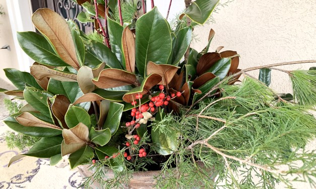 Get in the holiday spirit with natural décor