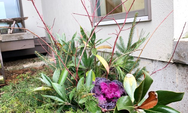 Get in the holiday spirit with natural décor