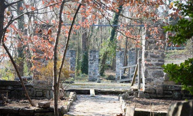 Singing the praises of Melodye Park