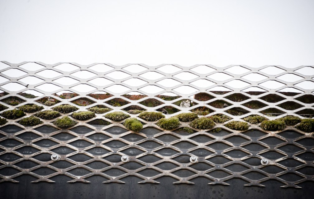 Sustainable dream: Andy McDonald builds net-zero house