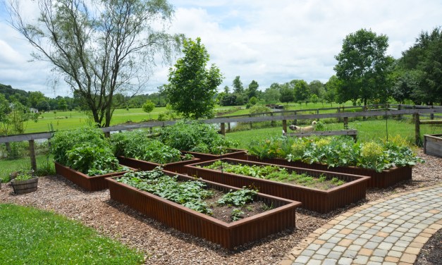 Five tips for raised planter beds