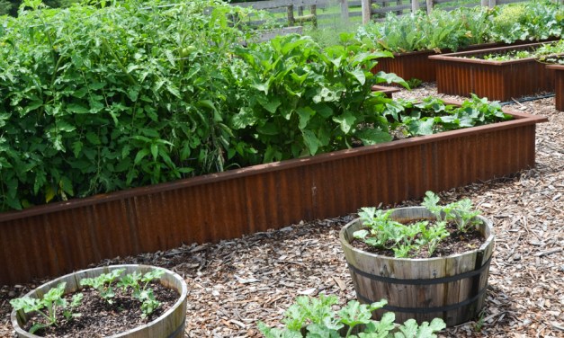 Five tips for raised planter beds
