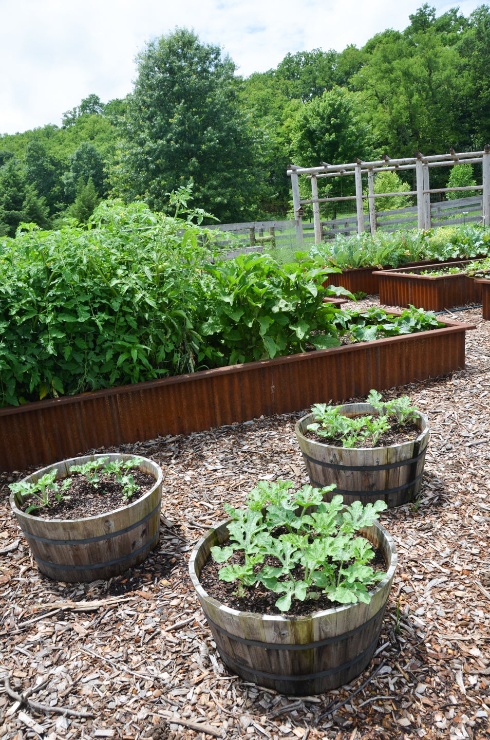 Five tips for raised planter beds