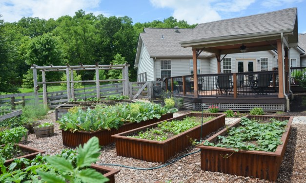 Five tips for raised planter beds