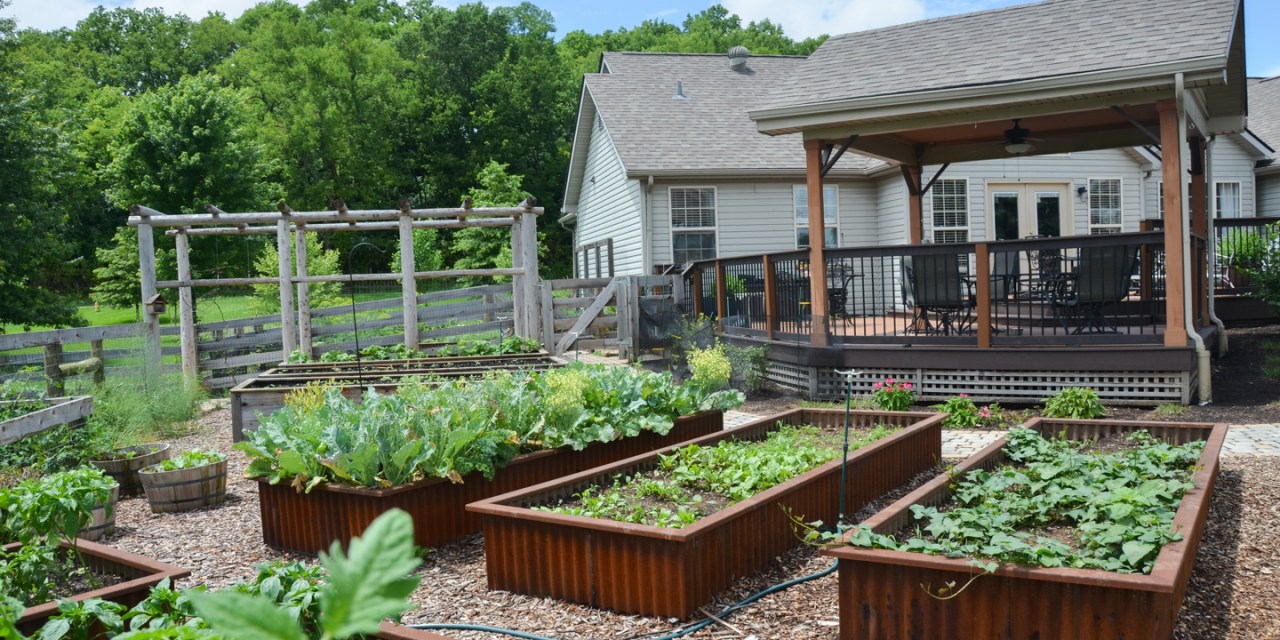 Five tips for raised planter beds