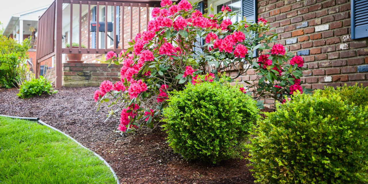 Detail oriented: Passions on display at John and Marcia Walker’s home