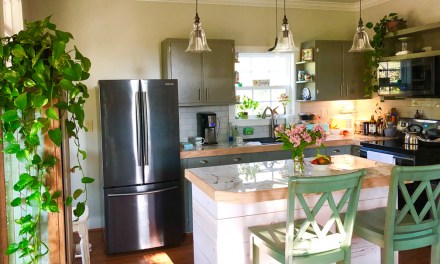Deciding to downsize: Two local couples make the right choice for them