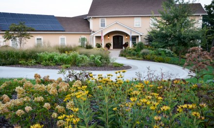Creating a native oasis
